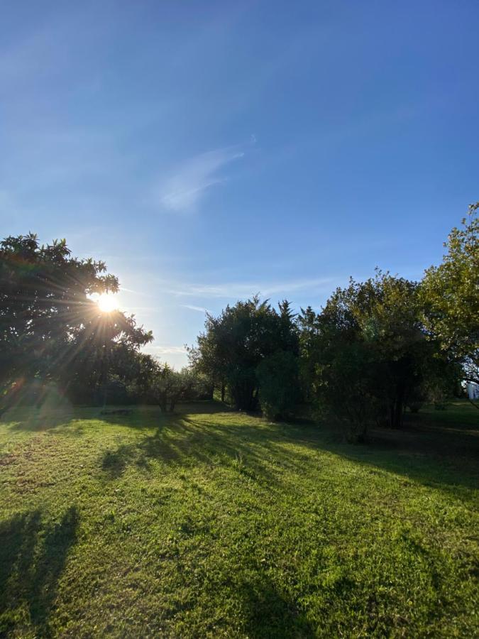 Studio Climatise Dans Un Ancien Domaine Viticole Montpellier Zewnętrze zdjęcie