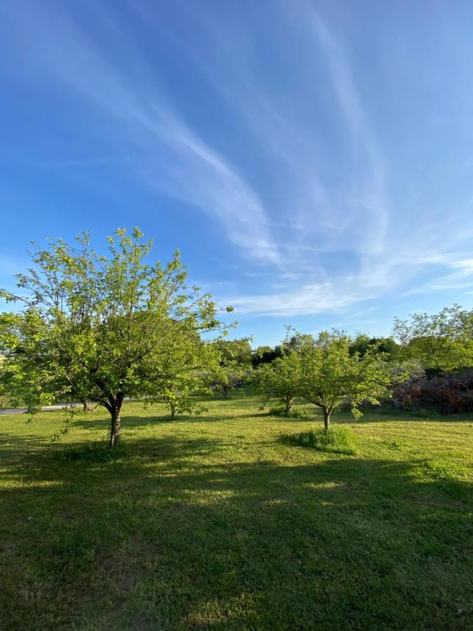 Studio Climatise Dans Un Ancien Domaine Viticole Montpellier Zewnętrze zdjęcie