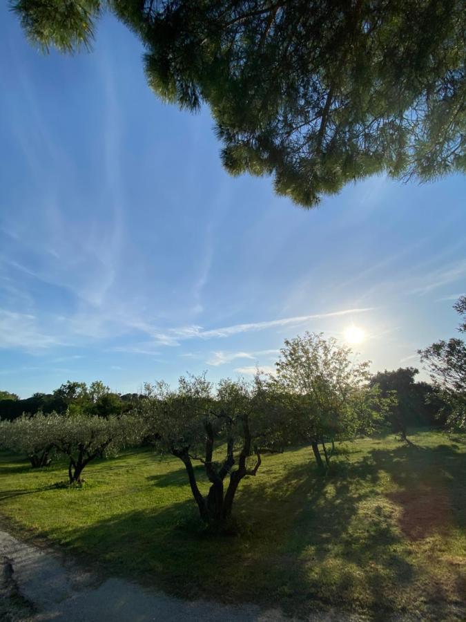 Studio Climatise Dans Un Ancien Domaine Viticole Montpellier Zewnętrze zdjęcie